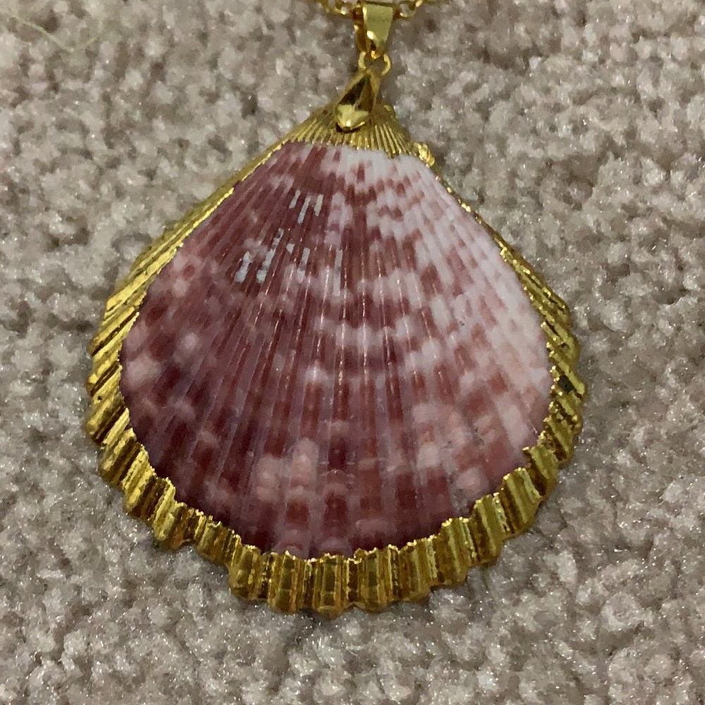 Shell Necklace